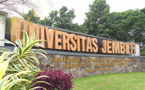 Ingin Masuk Fakultas Ekonomi dan Bisnis di Universitas Jember ...