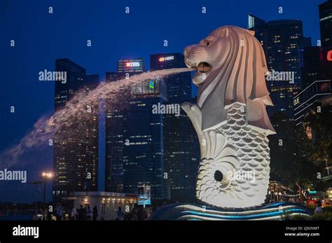 Merlion Park, a iconic statue in Singapore at Night. Merlion is a ...