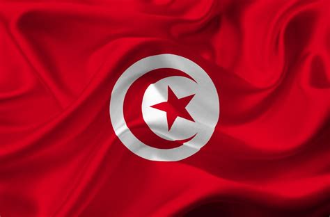 tunisie fond écran gratuit | Tunisia, Cartoon, Pinterest logo