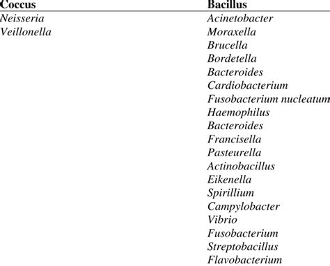 Gram-negative bacteria based on morphological observation | Download Table