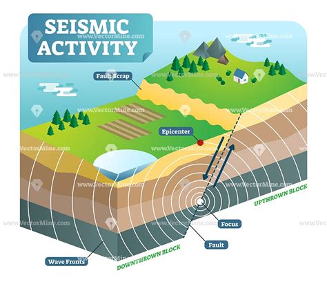 Seismic Waves Activity Sheet