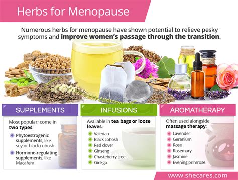 Herbs for Menopause: Herbal Supplements & Remedies | SheCares