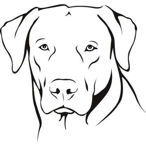 Labrador Cartoon Drawing | Free download on ClipArtMag