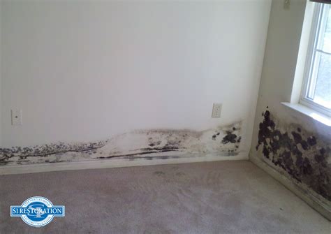 Black Mold Removal | SI Restoration