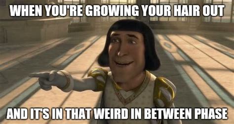 Shrek: Top 10 Hilarious Lord Farquaad Memes