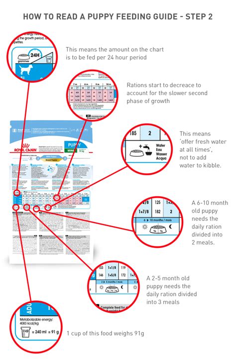 royal canin giant puppy feeding chart - Ola Braden