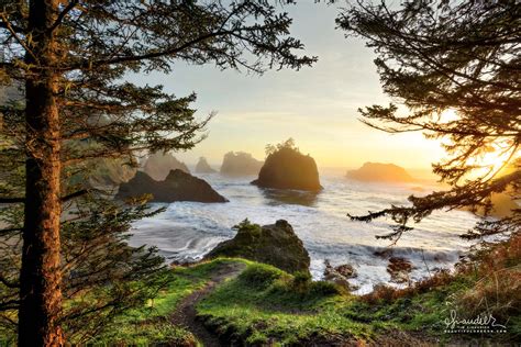 Secret Beach - Oregon Coast - Oregon Photography