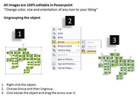 Company Organization Hierarchy Diagram PowerPoint Templates