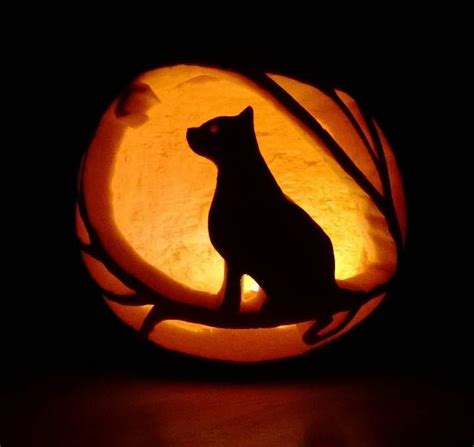 20+ Cat Pumpkin Carving Designs – DECOOMO