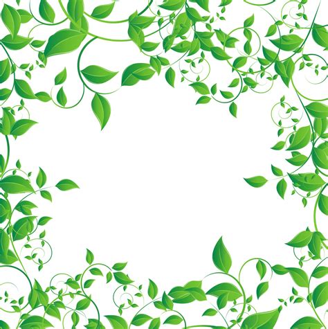 Tea Leaves Vector Green Photos Transparent HQ PNG Download | FreePNGimg