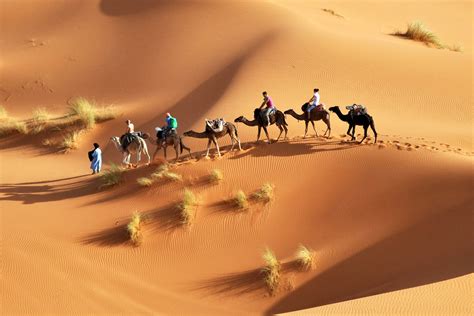 Sahara Desert Tour with Camel Ride from Djerba - Tacapes Tours