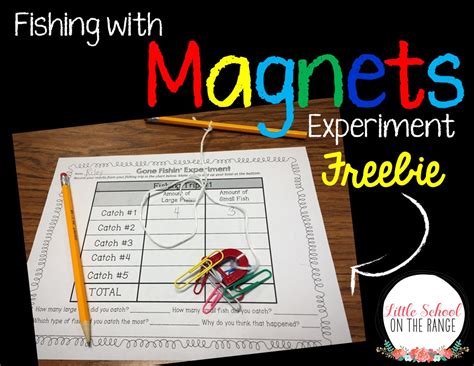 Little School on the Range: Magnet Experiment FREEBIE