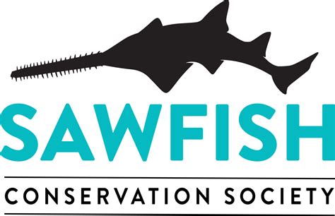 Sawfish Conservation Society