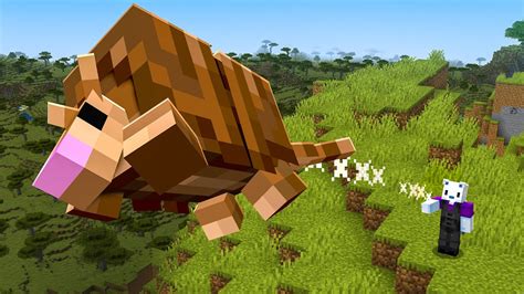 So I Already Broke Minecraft's New Armadillo - YouTube