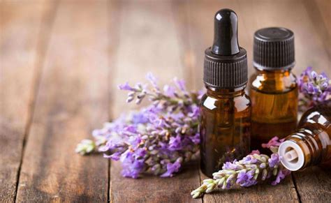 The‌ Ultimate‌ Aromatherapy‌ Oils Guide‌ You Should Know About | Suntrics