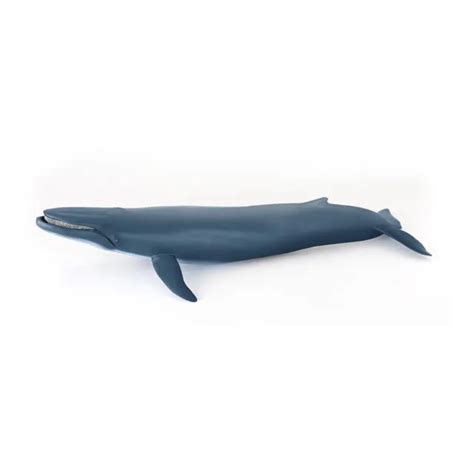 PAPO MARINE LIFE Blue Whale Toy Figure £24.99 - PicClick UK