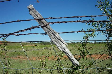 Free barb wire fence Stock Photo - FreeImages.com