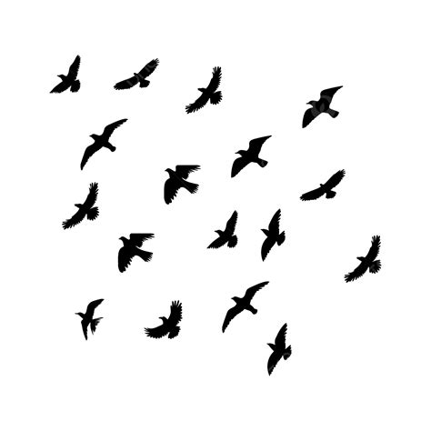 Flying Birds Vector Illustration, Bird, Birds, Flying Bird PNG and ...