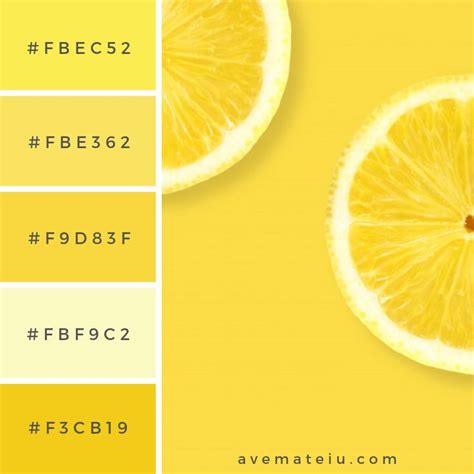 Layout the lemon on a yellow background Color Palette #255 - Color ...