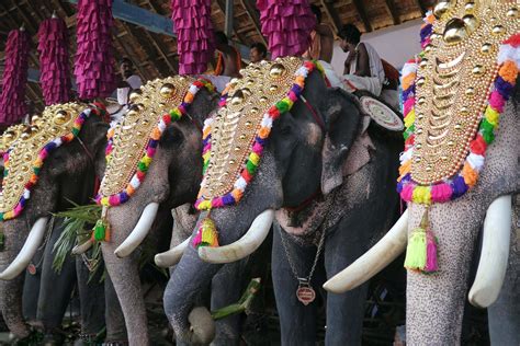 Small Group Tours & Holidays inc. Temple Festivals in Kerala | TransIndus