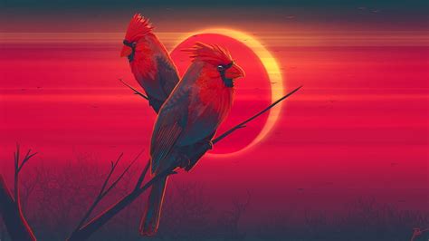 Birds, Cardinal, Artistic, Bird, Eclipse, HD wallpaper | Peakpx