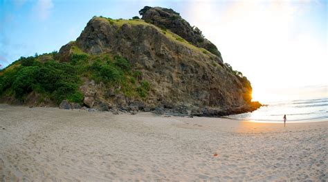 Piha Beach Tours - Book Now | Expedia