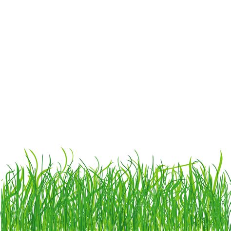 Green Grass Background Look Like Real, Grass, Green Grass, Grass ...