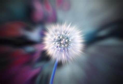 The Complete Guide To Zoom Burst Photography