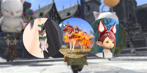 FFXIV: Moogle Treasure Trove Items & Tomestome Exchange Rates