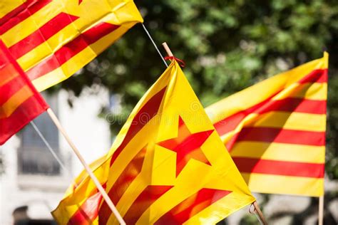 Catalonian flag stock image. Image of vote, independence - 57771233