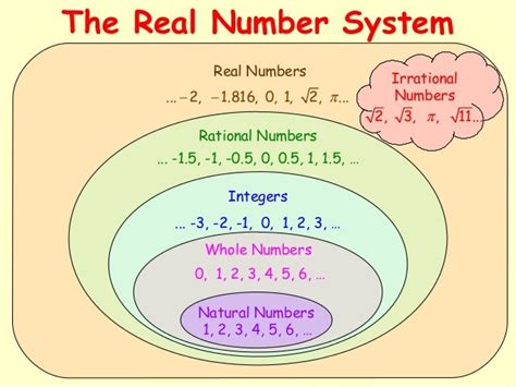 Real Number System Review | Mathematics Quiz - Quizizz