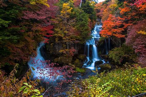 HD wallpaper: japan, kumamoto, waterfall, autumnal leaves, tree, plant ...