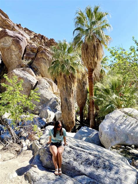 Hiking the Andreas Canyon Trail in Palm Springs [Complete Hiking Guide]