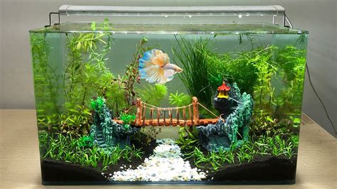 DIY Simple Aquasacpe Betta Fish For Office – How To Make Aquarium ...