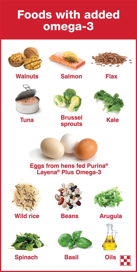 Increasing Omega-3 in Chicken Eggs| Purina Animal Nutrition | Healthy ...