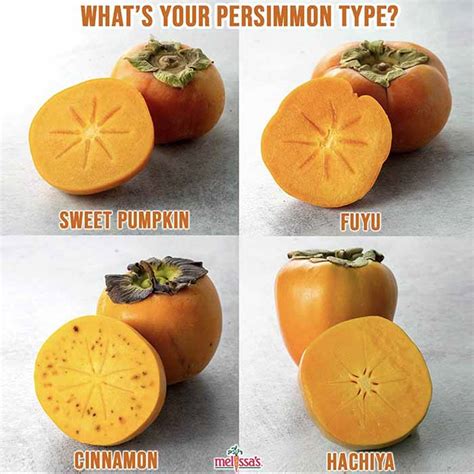 How To Eat Persimmons For National Persimmon Month | The Nibble Webzine ...