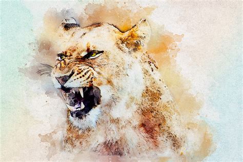 Download Lioness, Roar, Nature. Royalty-Free Stock Illustration Image ...