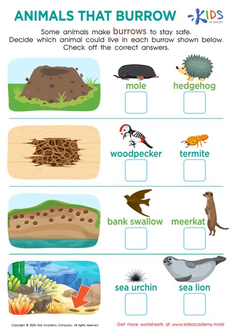 Animals That Burrow Worksheet for kids