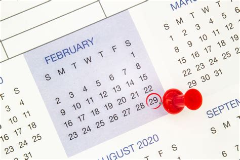 Leap Day 2024 Calendar - Printable Online