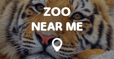 ZOO NEAR ME - Points Near Me