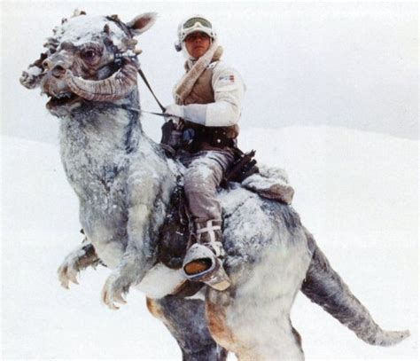 Tauntaun | Star Wars Wiki | Fandom