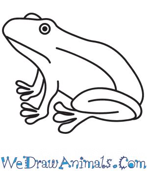 How To Draw A Realistic Frog