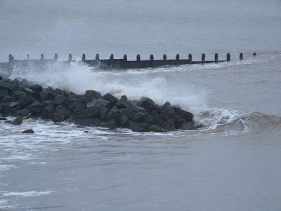 Hornsea, coastal erosion - SIX LEGGED CRITTER SINGING IN THE TREES*