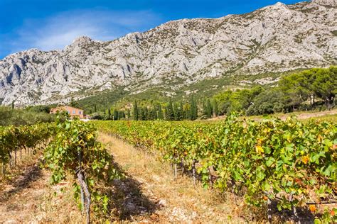 Ultimate Guide to the Provence Wine Region of France