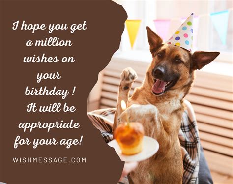 Funny Happy Birthday Wishes, Images or Memes | WishMessage