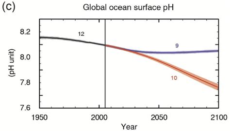 Ocean Acidification Graph