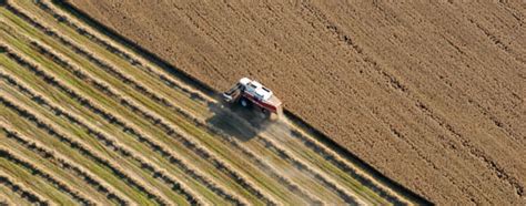 La loi de modernisation de l'agriculture et de la pêche adoptée par le ...