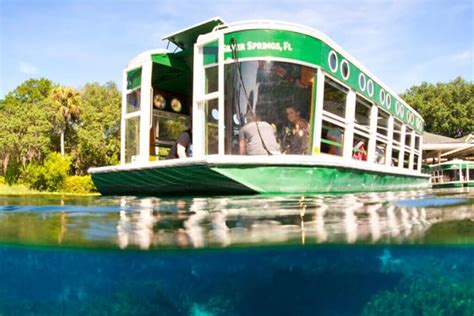 6 Best Glass Bottom Boat Tours in Florida • Authentic Florida