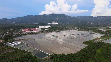 Aerial view water season of paddy field 7937658 Stock Video at Vecteezy