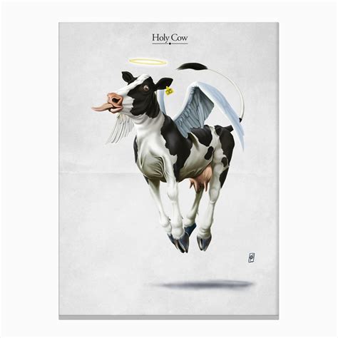 Holy Cow Canvas Print by Rob Snow - Fy